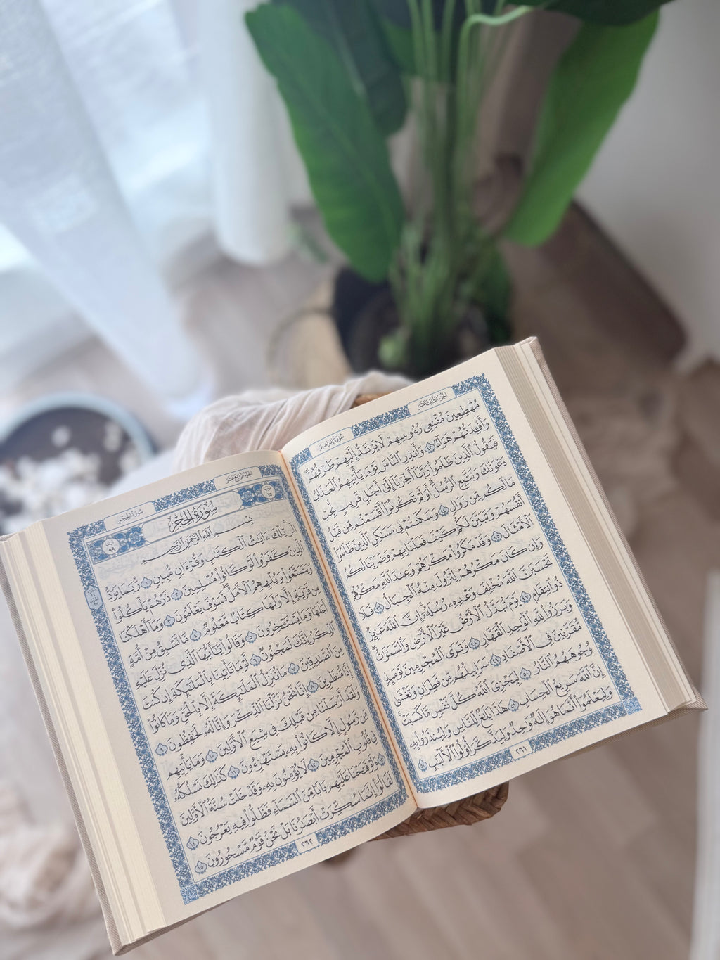مصحف فإني قريب